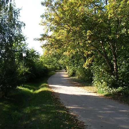 Am Klosterwald * Dargun