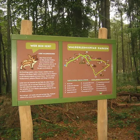 Am Klosterwald Dargun