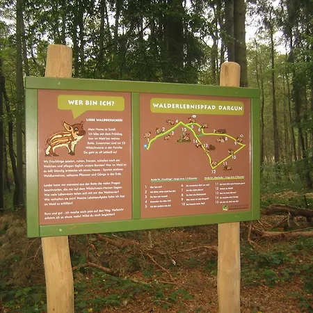 Am Klosterwald Dargun